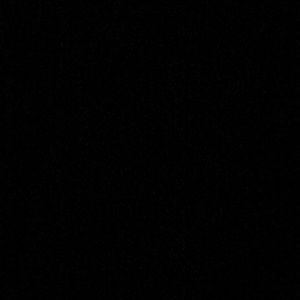 Meet your Posher, Dora